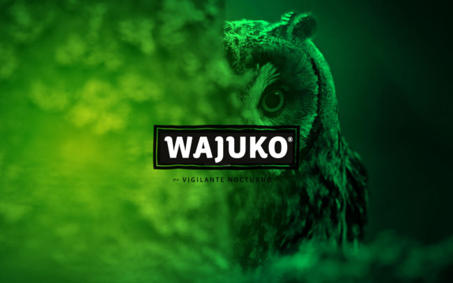 WAJUKO - Gworkshop Design - Packaging Design & branding