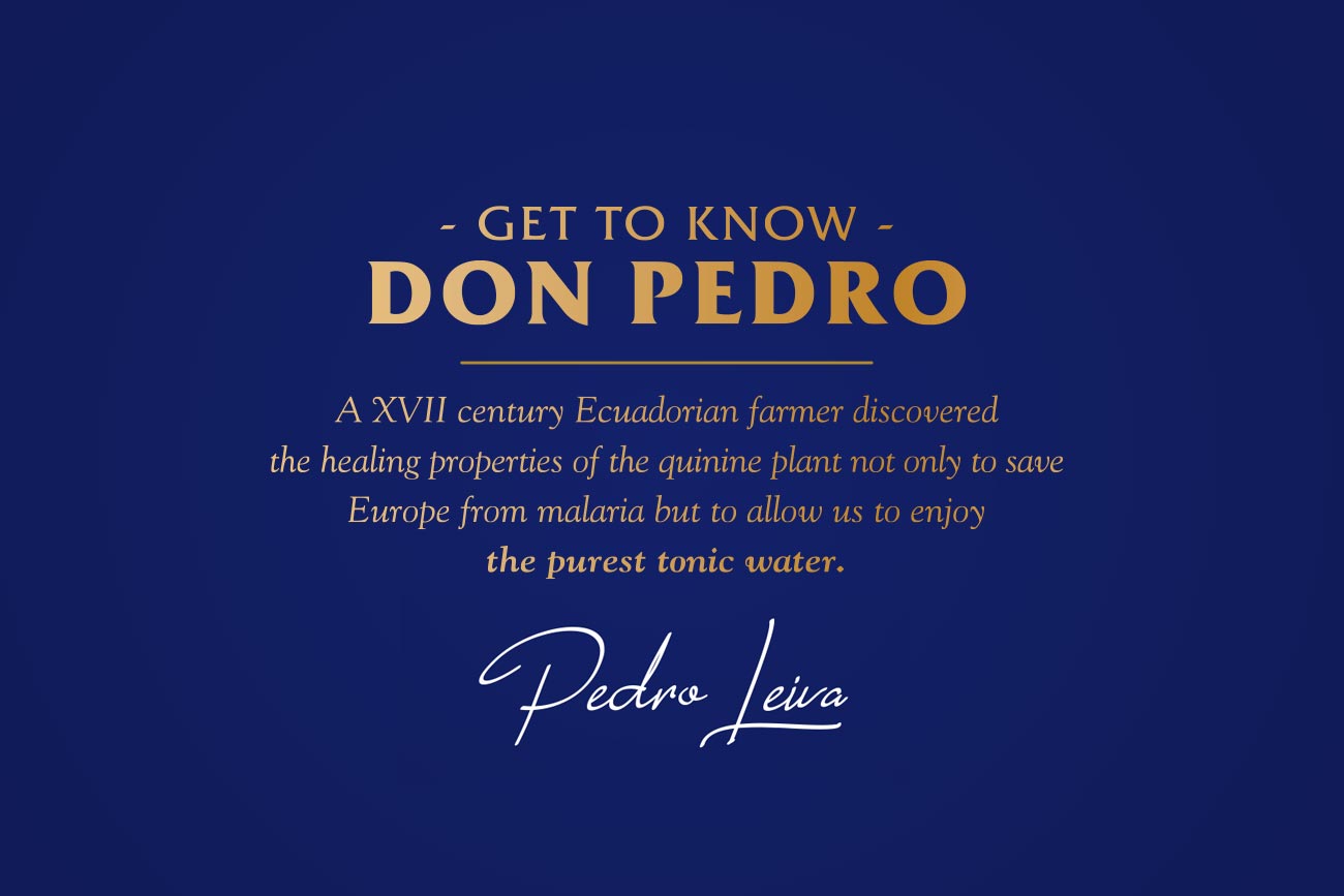 Cinchona Agua tonica – Gworkshop Design | Packaging and branding studio Cinchona Agua tonica - Gworkshop Design | Packaging and branding studio