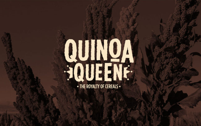 Quinoa Queen - Gworkshop Design | Packaging and branding studio