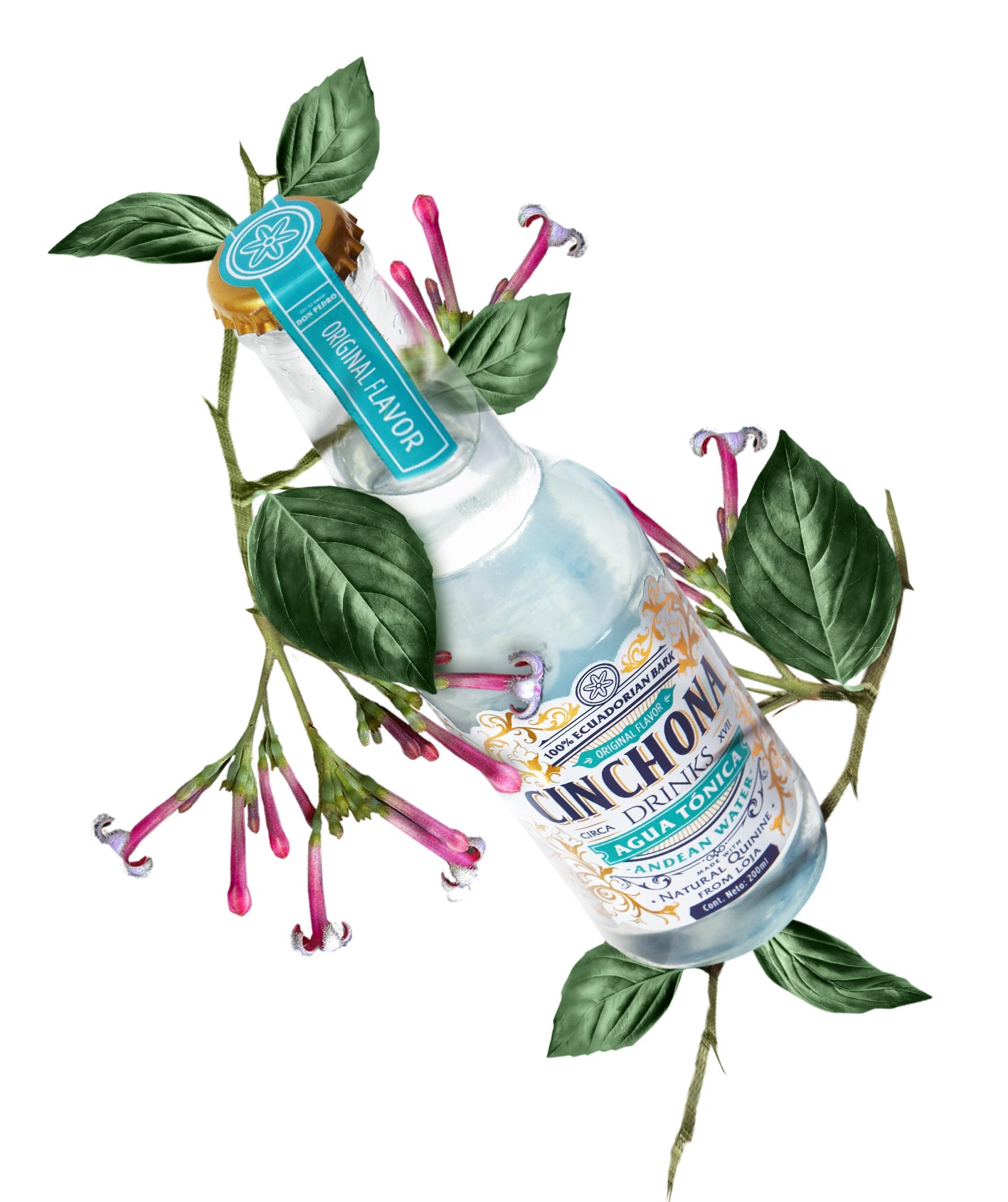 Cinchona Agua tónica – Gworkshop Design | Packaging and branding studio Cinchona Agua tónica - Gworkshop Design | Packaging and branding studio