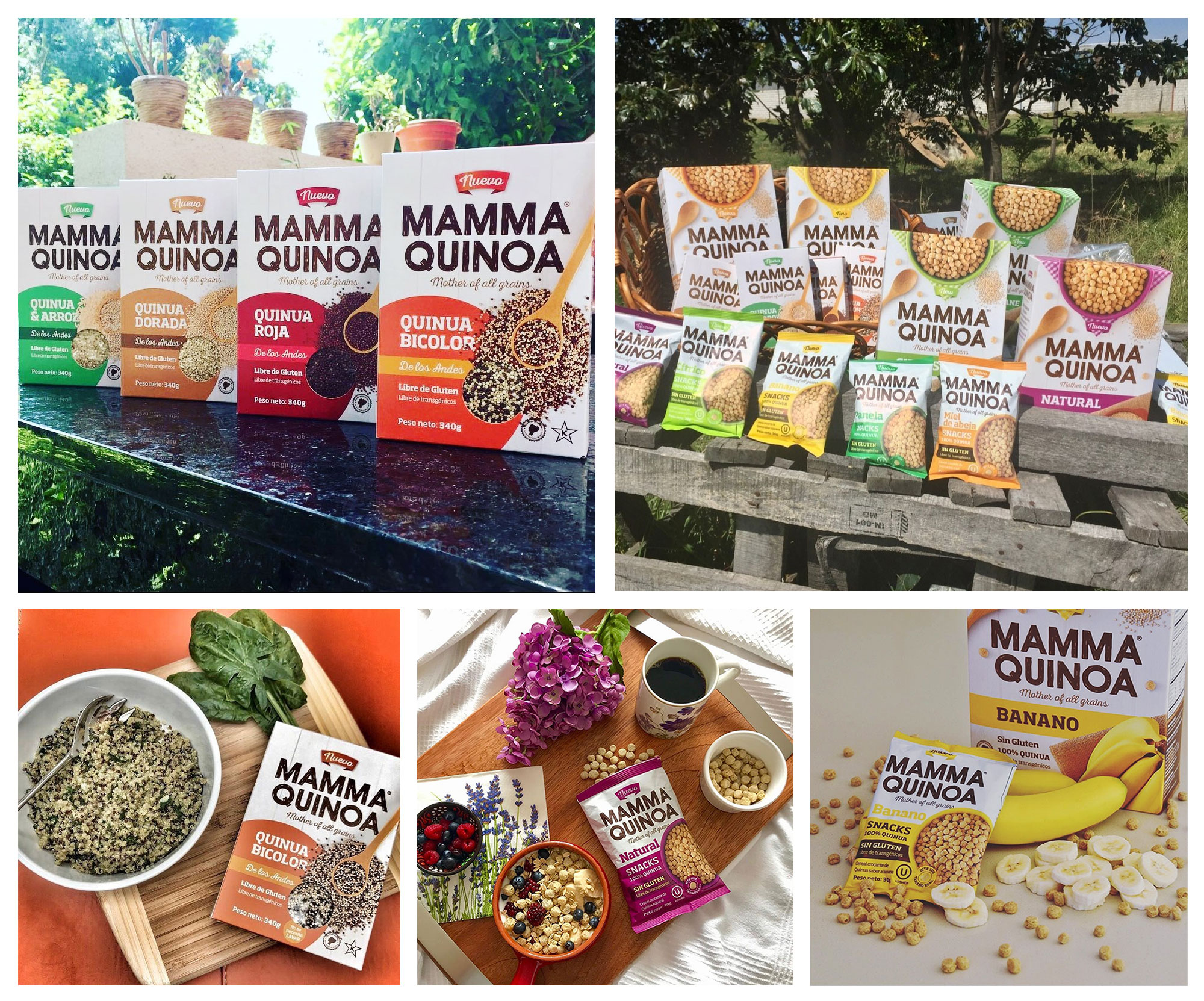 Mamma Quinoa – Gworkshop Design | Packaging and branding studio Mamma Quinoa - Gworkshop Design | Packaging and branding studio